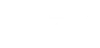 TAZ die tageszeitung